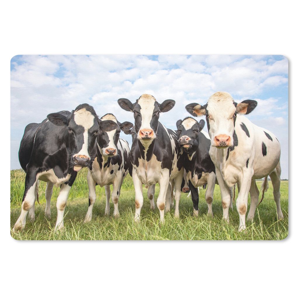 MuchoWow Schreibtischunterlage Kühe - Weide - Tiere - Natur - Gras 60x40 cm - XXL Mauspad - Großes Mauspad
