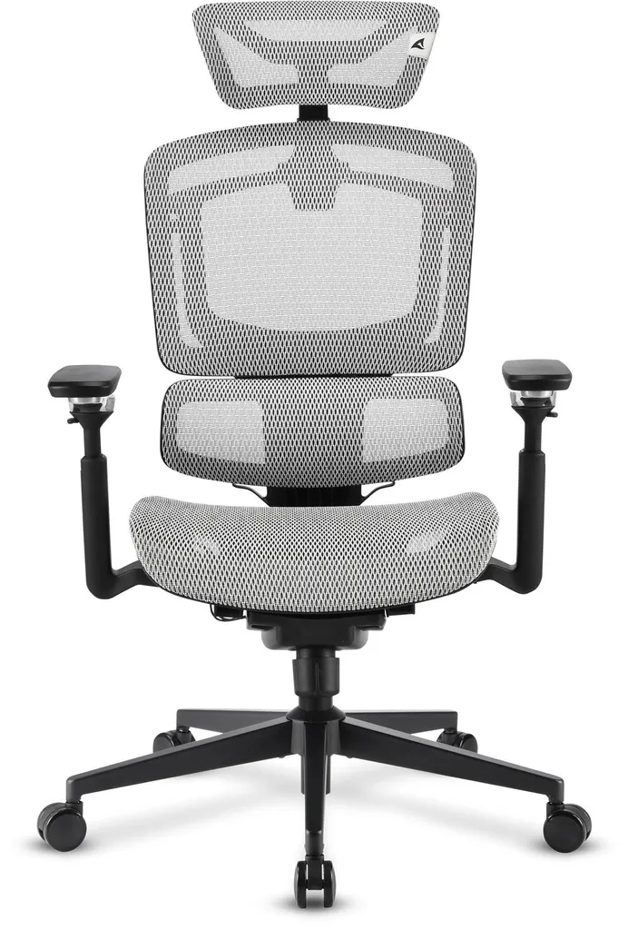 Sharkoon OfficePal C50M Gris - Chaise de bureau ergonomique performante
