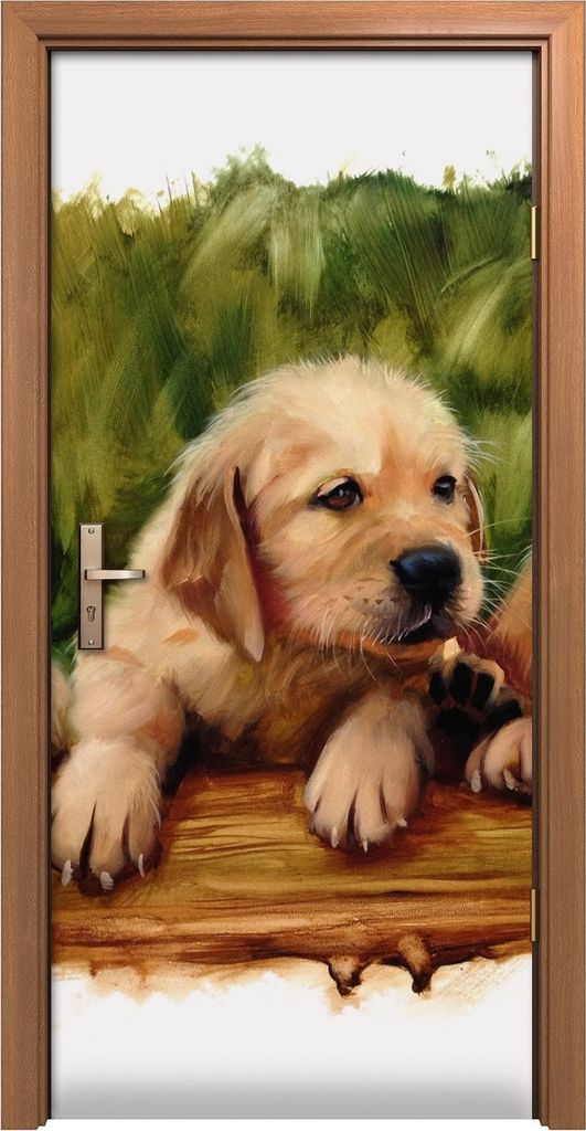 Türposter 90x200 cm Türaufkleber Türtapete Türfolie Klebefolie Wand Kunst Malen Hunde Gras Tiere