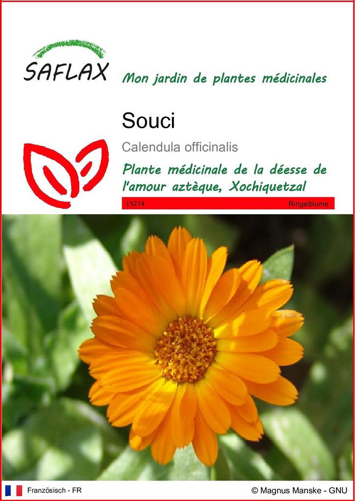 SAFLAX  - Souci - 50 graines - Calendula Image du produit 