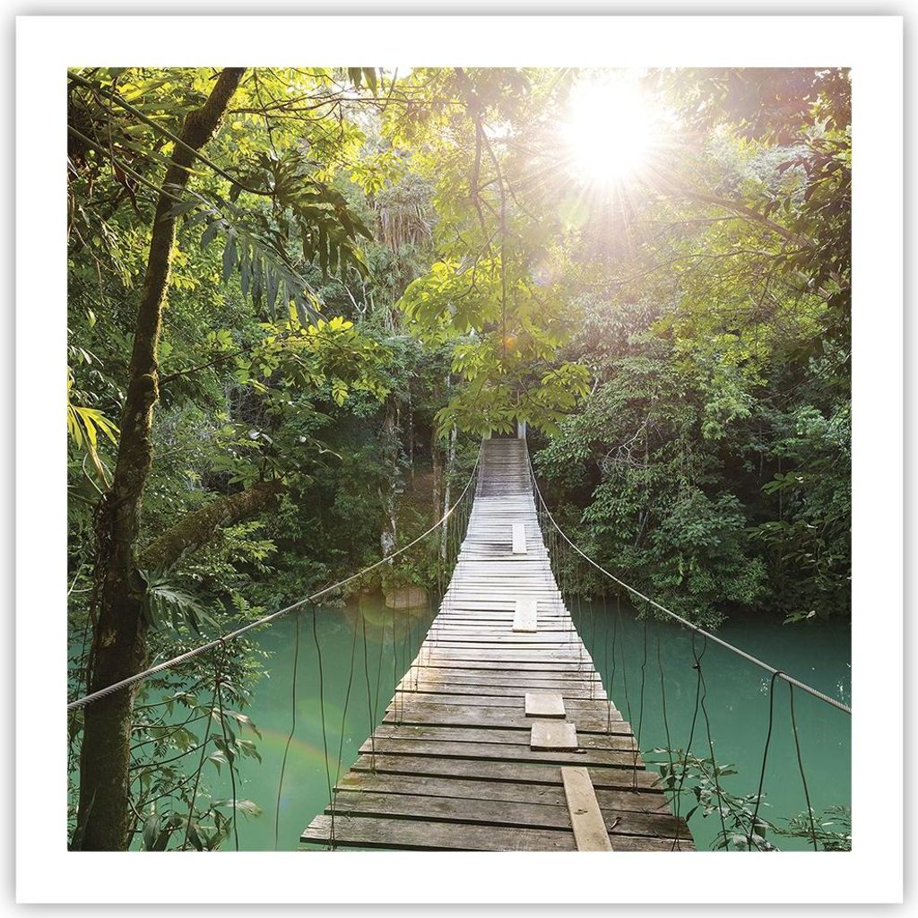 Poster - Poster ohne Rahmen - Brücke Seil Dschungel - 60x60 cm - Wand Bild - Wanddeko - Wandbilder - Kunstposter - Wandposter - Bilder - Kunstdruc...