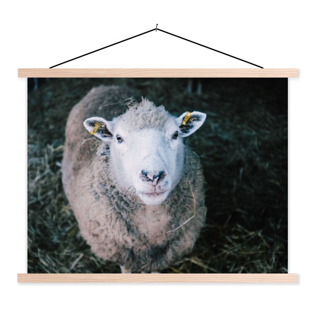 MuchoWow Textilposter Schafe - Tiere - Rinder 120x90 cm mit holzfarbenen Rahmen - Magnetisch
