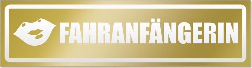 Fahranfängerin Kuss invertiert Magnetschild Schild magnetisch