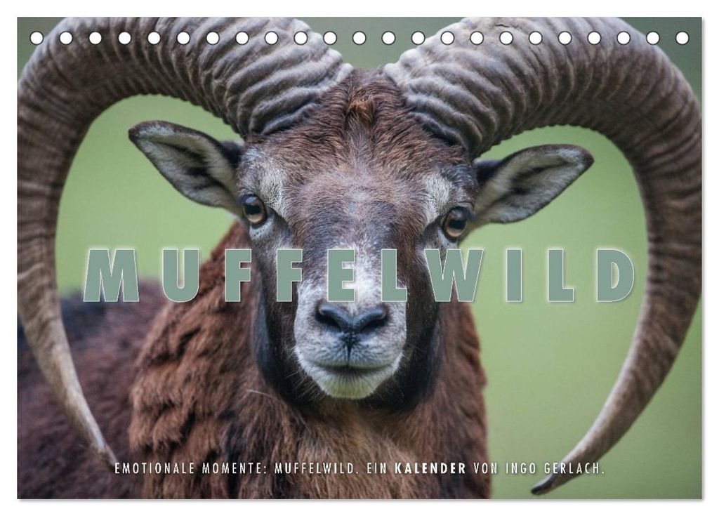 Emotionale Momente: Muffelwild. (Tischkalender 2027 DIN A5 quer), CALVENDO Monatskalender