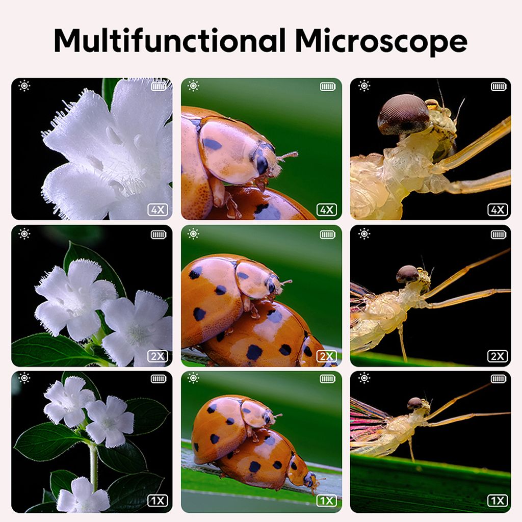 1080P mini mikroskop pro děti, 500x přenosná kapesní lupa, Obrázek produktu 10