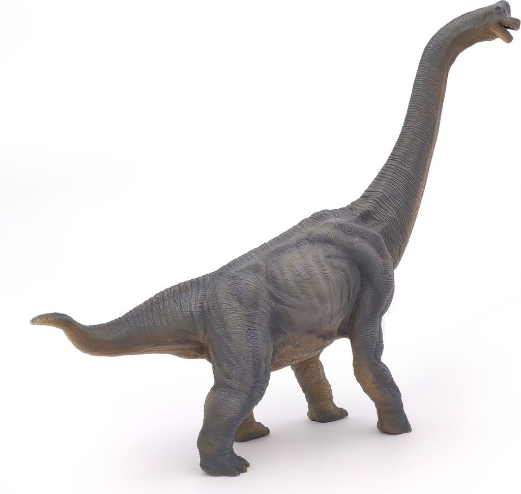 Papo Dinosaures Brachiosaurus 55030 Image du produit 
