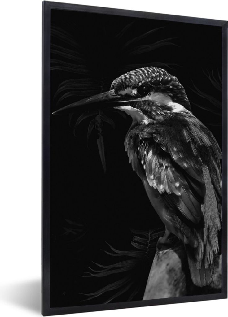 MuchoWow Gerahmtes Poster Vogel auf einem Zweig vor einem schwarzen Hintergrund - schwarz und weiß 60x90 cm - Poster mit Schwarzem Bilderrahmen ...