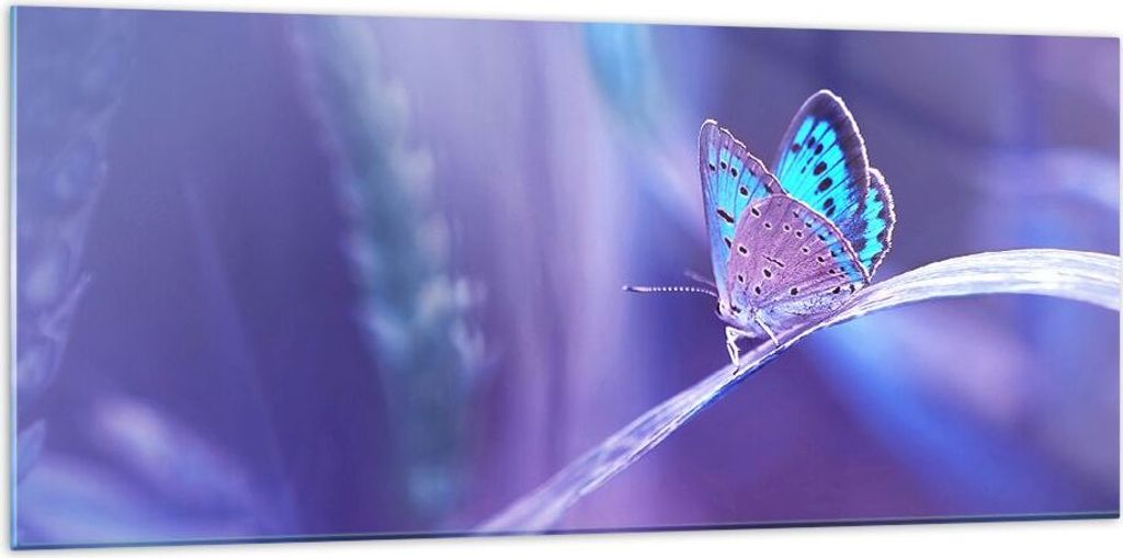 Bilder auf glas - Schmetterling Natur - 120x50cm - Glasbilder - Wandbilder - Kunstdruck - zum Aufhängen bereit - Wanddekoration aus Glas - Glas Bi...