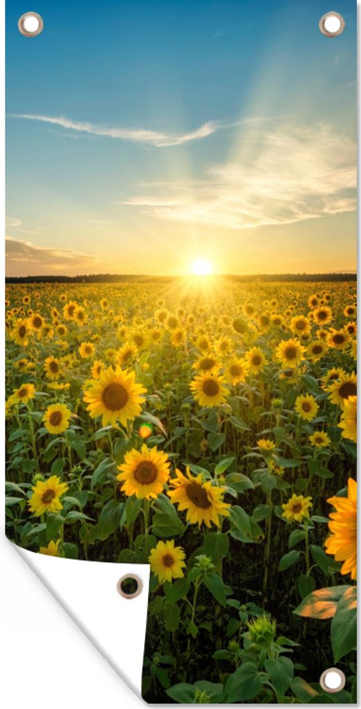 MuchoWow 80x160 cm Outdoor-Poster Gartendeko Sichtschutz Garten Poster für den Garten Sonnenuntergang - Blumen - Sonnenblume - Horizont - Landsc...