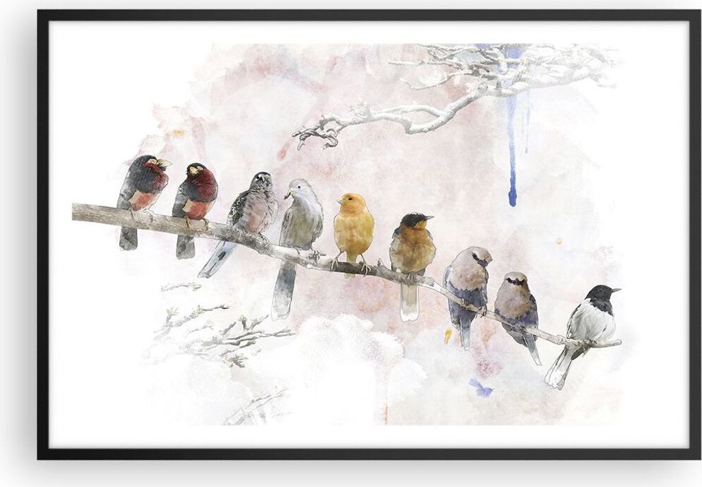 Gerahmtes Poster - Schwarzer Rahmen - Vögel Kanarienvogel Zweig - 91,5x61 cm - Wand Bild - Wanddeko - Wandbilder - Wandposter - Bilderrahmen - Bil...