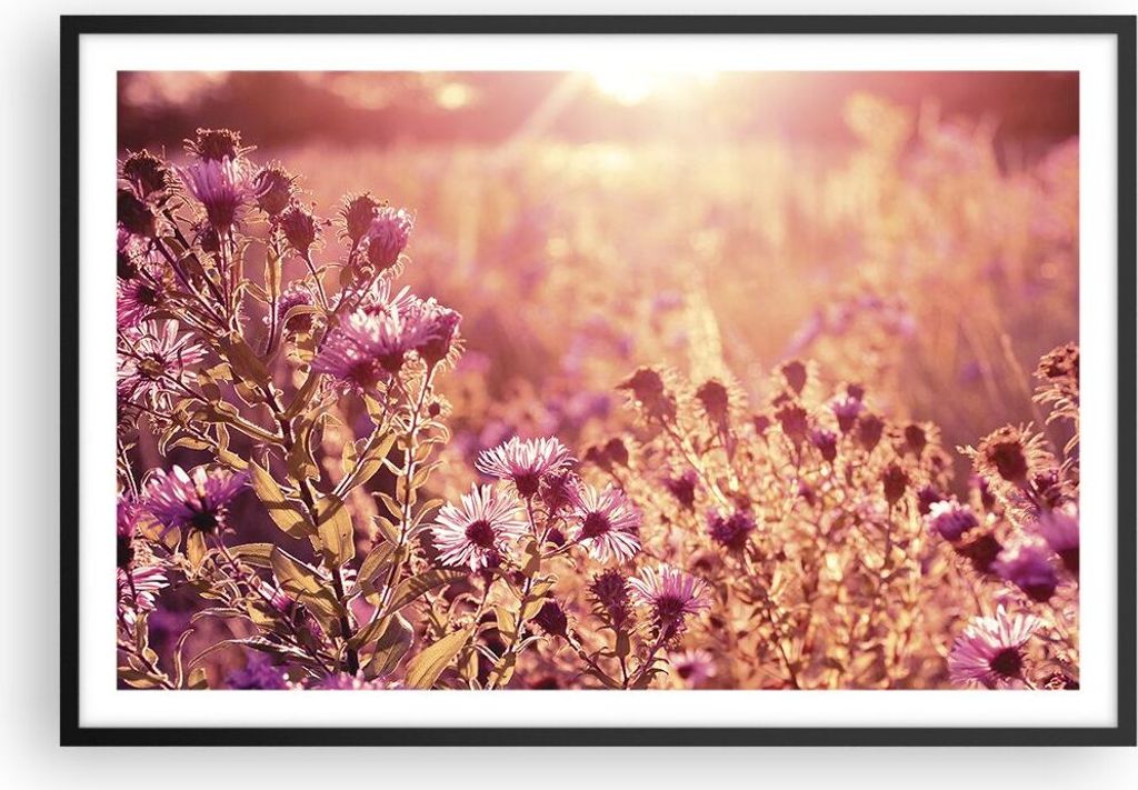 Gerahmtes Poster - Schwarzer Rahmen - Wiese Blumen Sonne - 91,5x61 cm - Wand Bild - Wanddeko - Wandbilder - Kunstposter - Wandposter - Bilderrahmen...