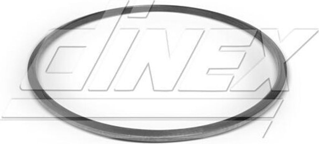 DINEX 2AL008 Auspuffdichtung Auspuffdichtung für VDL Futura Graphit