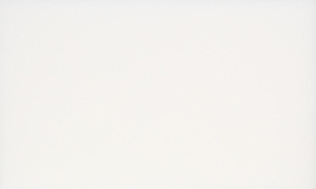A plain white background.