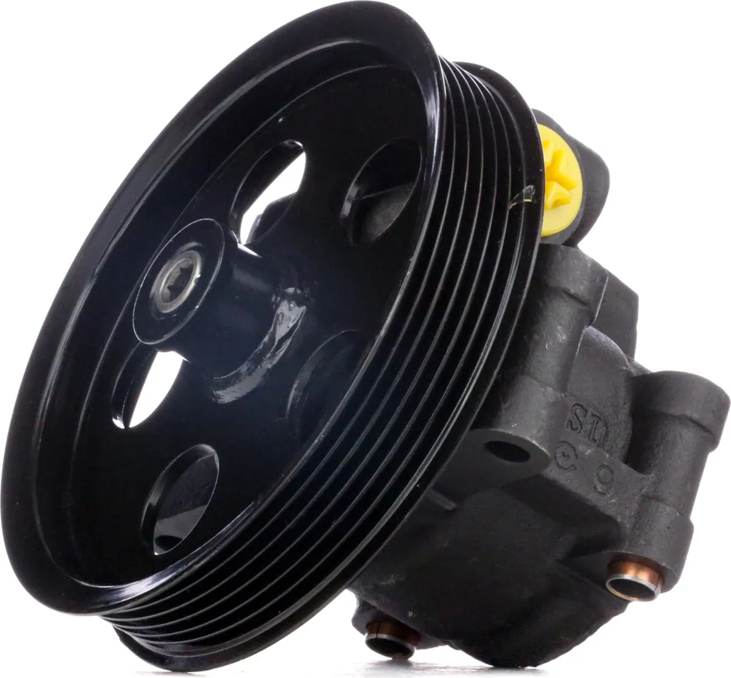 Servopumpe Hydraulique pour Fiesta V - Pompe de Direction STARK 1333961