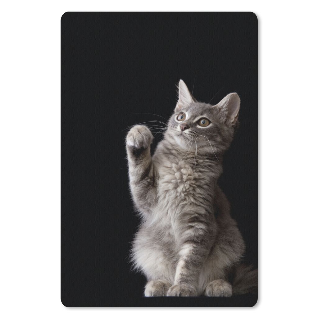 MuchoWow Mauspad Mousepad Sibirisches Kätzchen 40x60 cm - Mousepads - Maus Mat - Pad - Mausunterlage - Schreibtisch Accesoire