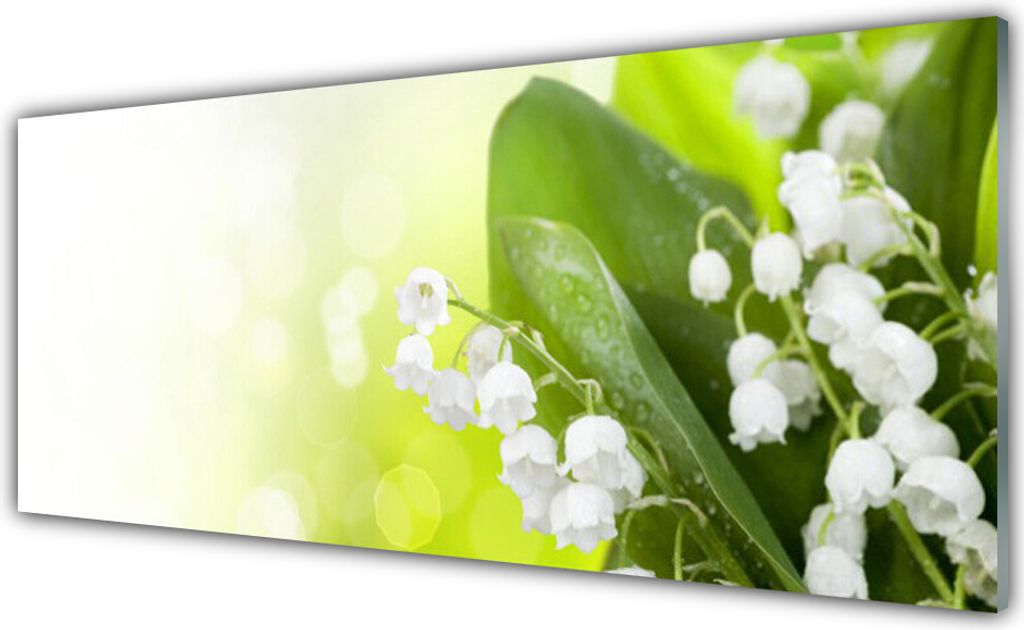 Küchenrückwand aus Glas 125x50cm Spritzschutz Maiglöckchen Blätter Pflanzen