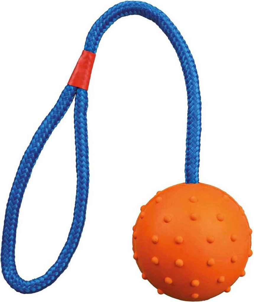 Ball am Seil, Naturgummi ø 6/30 cm petrol/orange Image du produit 