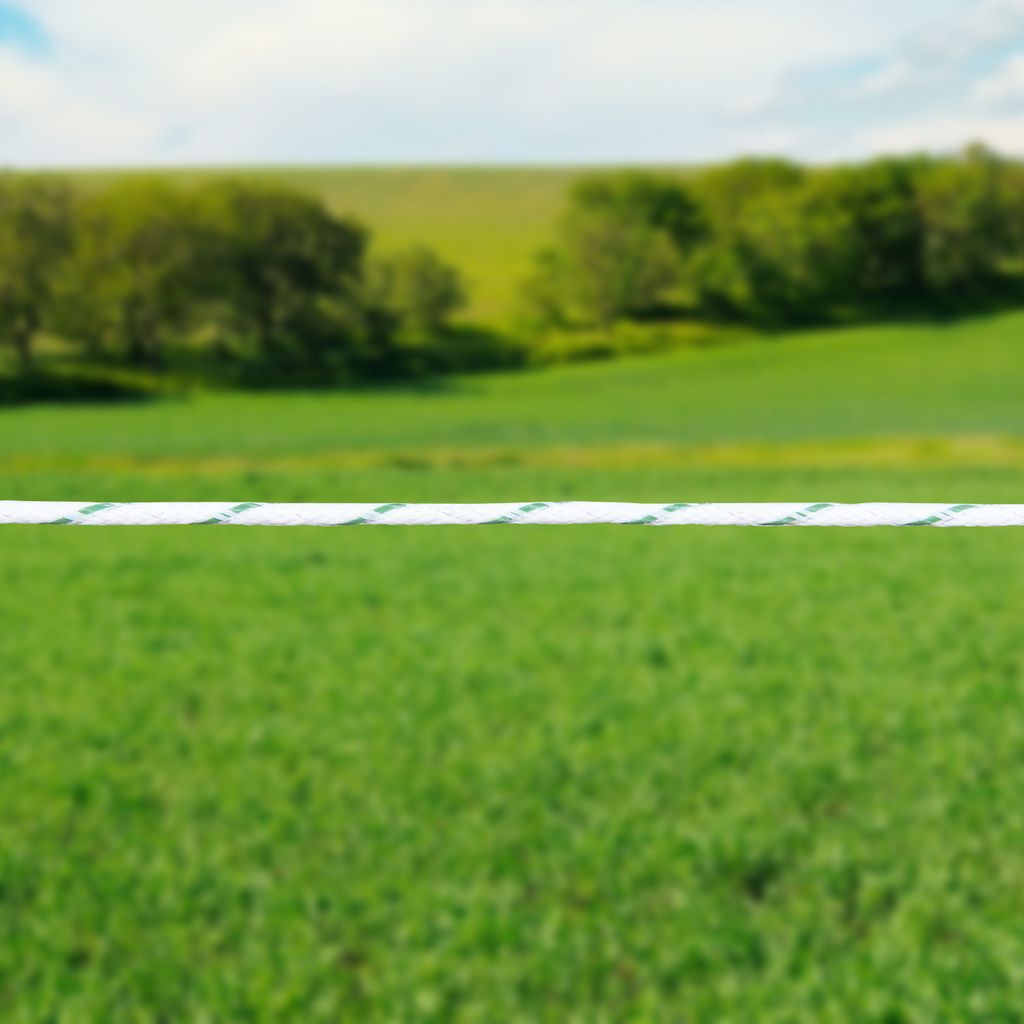 Pulsara Leap Cord (4 MM / 500 Meter / Weiß) - Pro