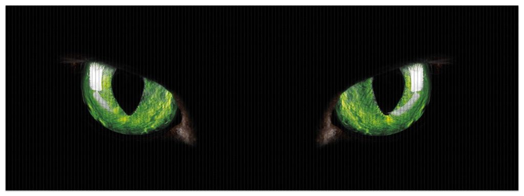 Wallario Duschmatte Antirutschmatte Badmatte Fußmatte Grüne Katzenaugen bei Nacht, Größe ca. 180 x 65 cm