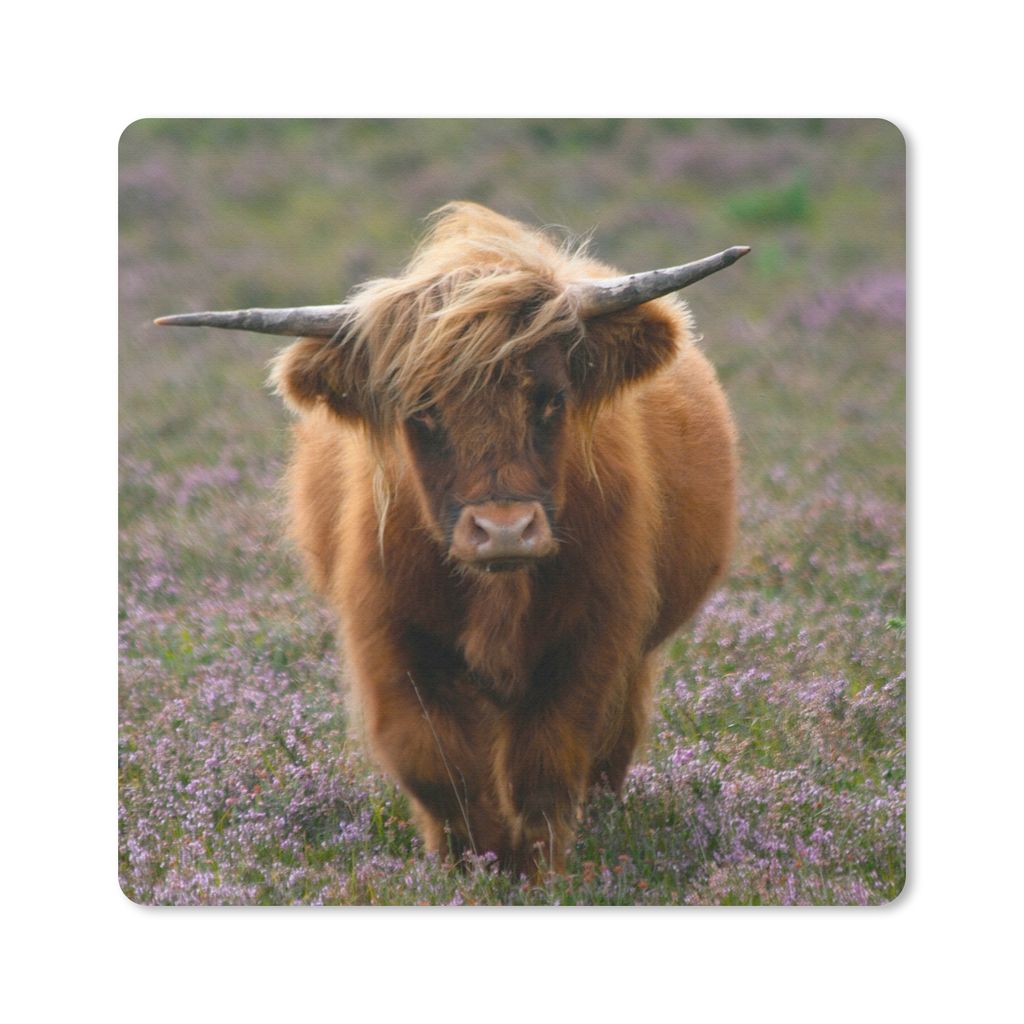 MuchoWow Mauspad Mousepad Schottische Hochlandbewohner - Heidelandschaft - Tiere 30x30 cm - Mousepads - Maus Mat - Pad - Mausunterlage - Gaming