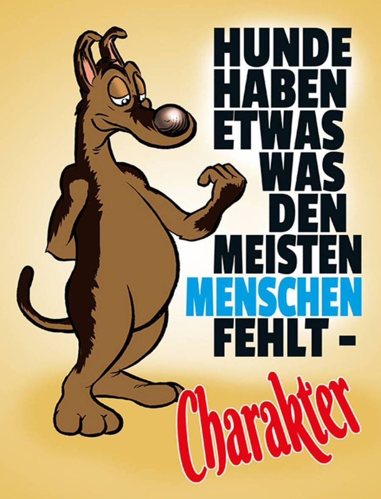 vianmo Holzschild 40x30 cm Hunde haben Charakter