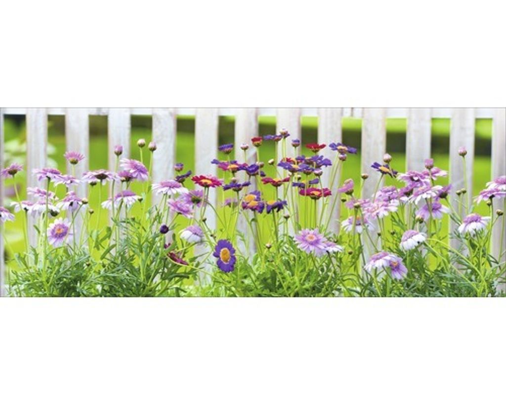 Glasbild Lovely garden III 80x30 cm