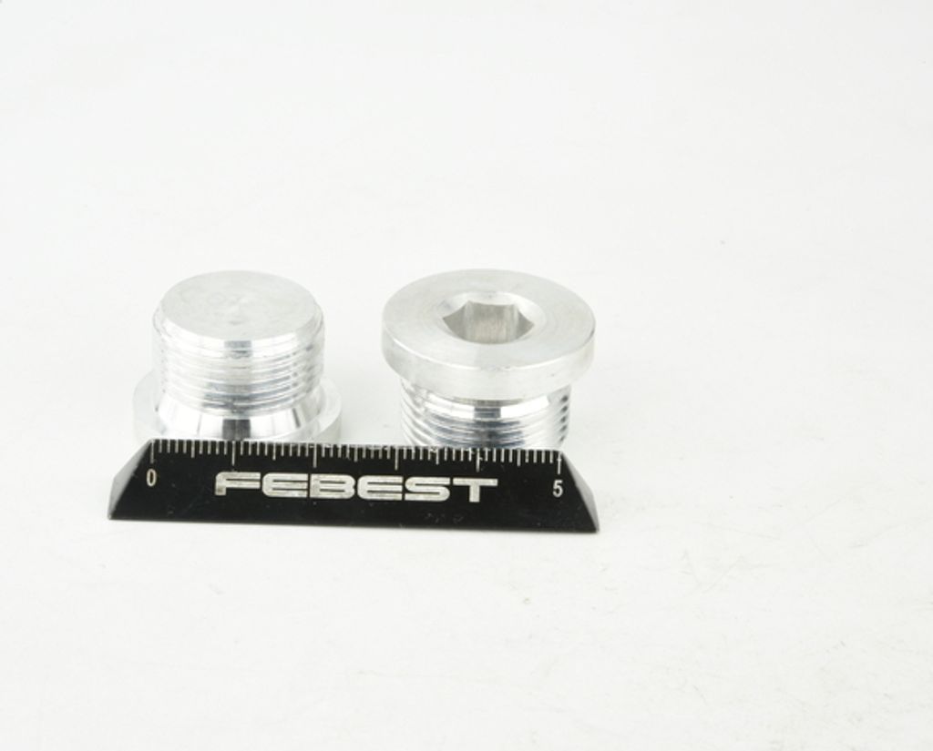 Febest 2399-002-Pcs2