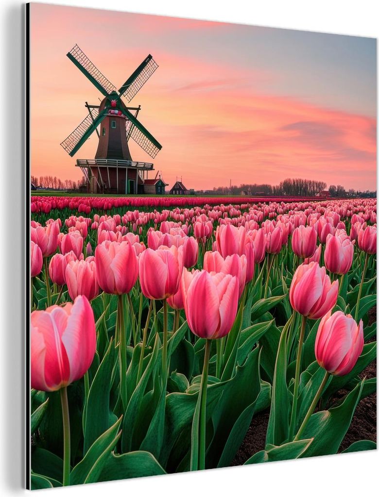 MuchoWow Wanddekoration Metall Metallbild Wandkunst 50x50 cm Tulpen - Mühle - Niederlande MuchoWow Aluminium Gemälde - Alubild - Industrial