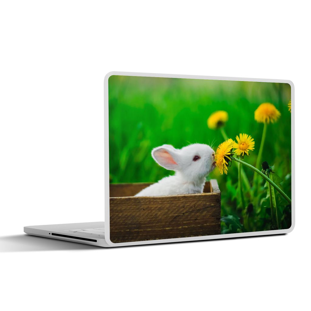 MuchoWow Laptop Aufkleber Sticker Cover Kaninchen - Löwenzahn - Gras 36.5x27.5 cm - Laptop-Sticker