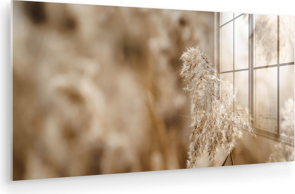 MuchoWow Glasbilder - Bilder auf Wandbild - Foto auf Glas Schilfrohr - Pflanze - Natur - Beige 120x60 cm Wanddekoration aus Glas - Acrylglasbild - ...