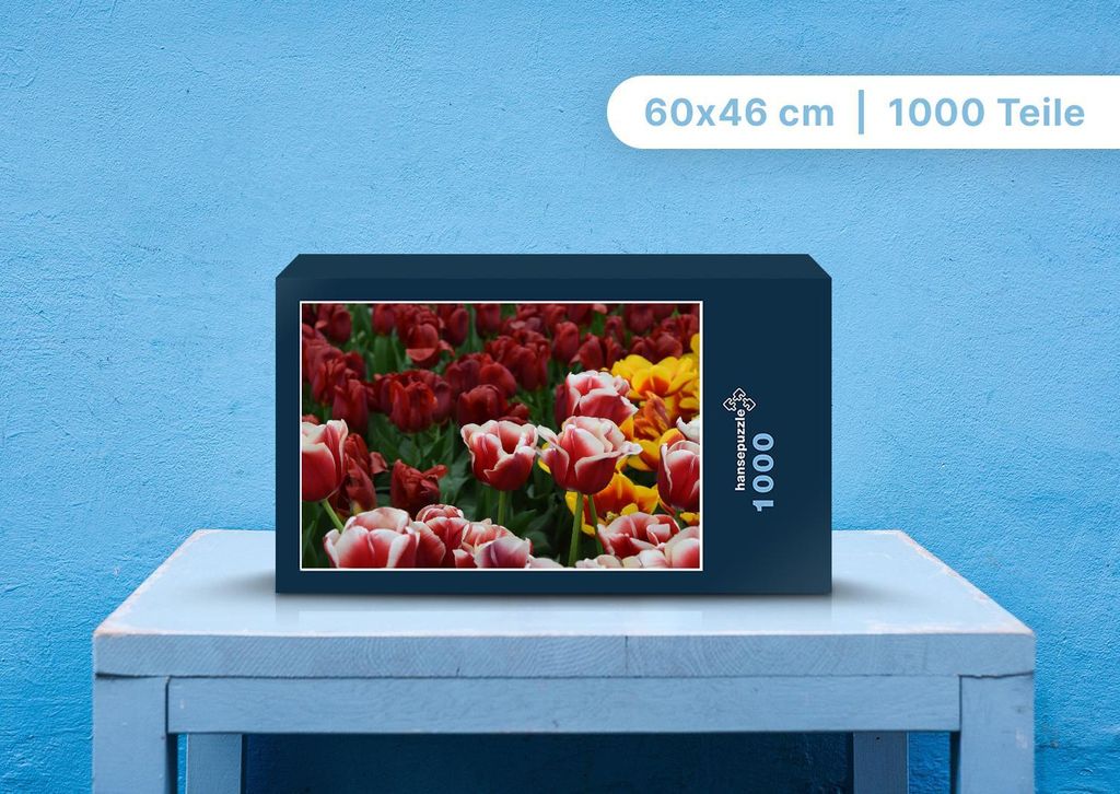 hansepuzzle 105224 - Tulpen Puzzle, 1000 Teile, Natur, 60,0 x 46,0cm mit hochwertiger Aufbewahrung, Kartonbox und wiederverschließbarem Beutel