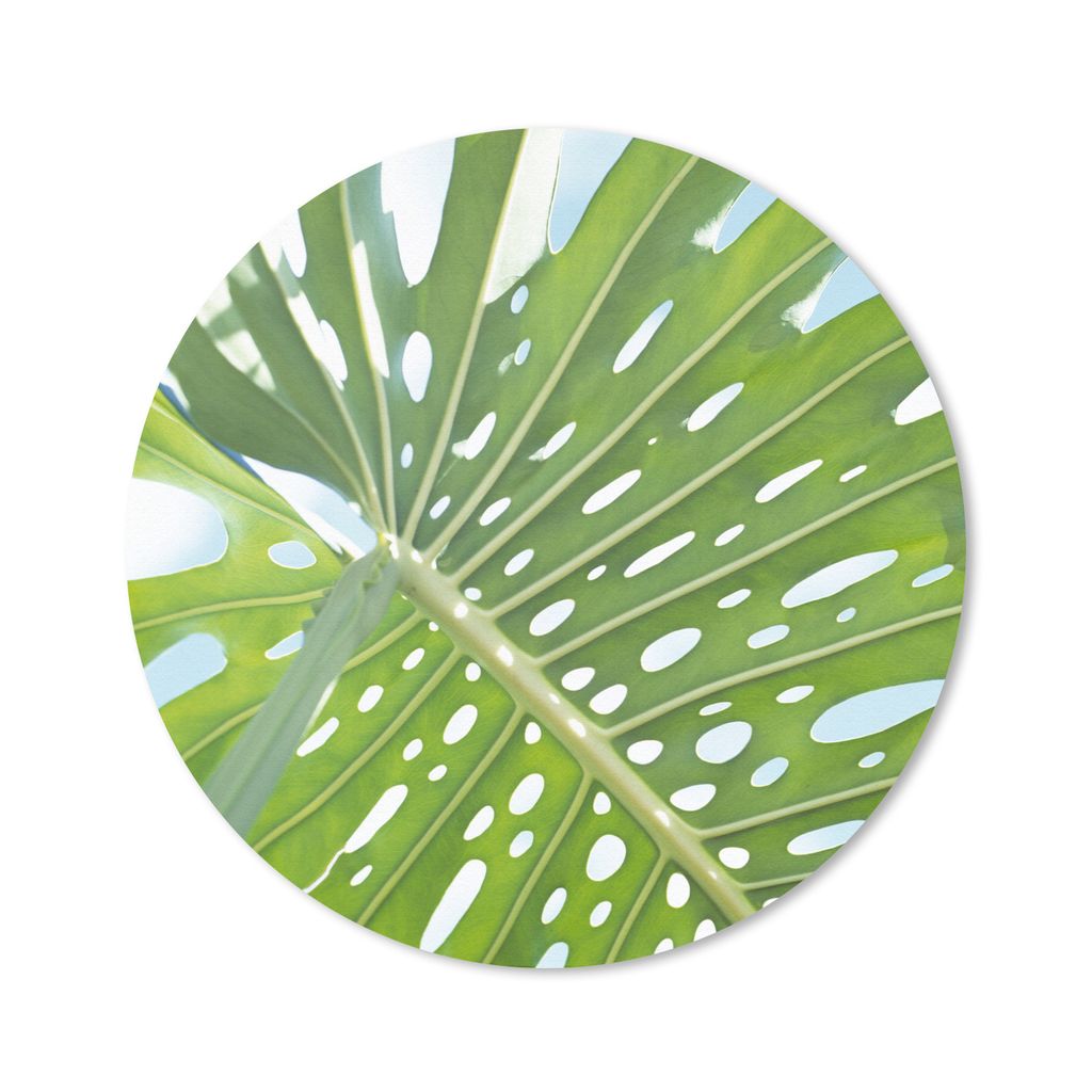 MuchoWow Mauspad Mousepad Ein grünes botanisches Blatt in der Sonne 20x20 cm - Mousepads - Maus Mat - Pad - Mausunterlage - Schreibtischmatte