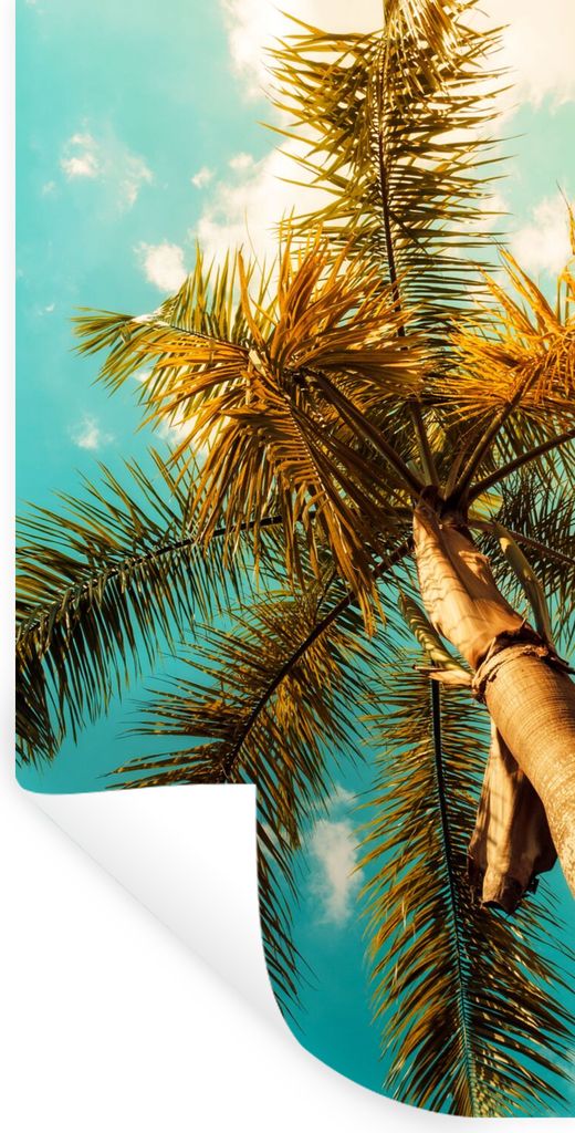 MuchoWow Wandtattoo Wandsticker Wandaufkleber Palme - Sommer - Tropisch 60x120 cm Selbstklebend und Repositionierbar - Selbstklebend - Fototapeten