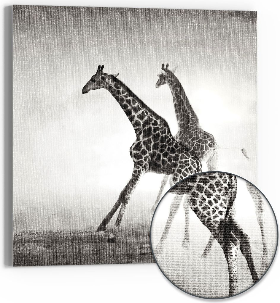 DEQORI Hybrid Leinwand Bild 50x50 cm 'Grazie der Wildnis' Wandbild Glas flach modern
