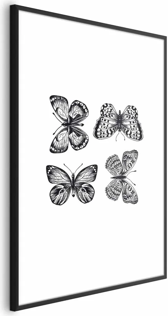 Poster Quattro farfalle 40x60 cm con cornice nera con margine