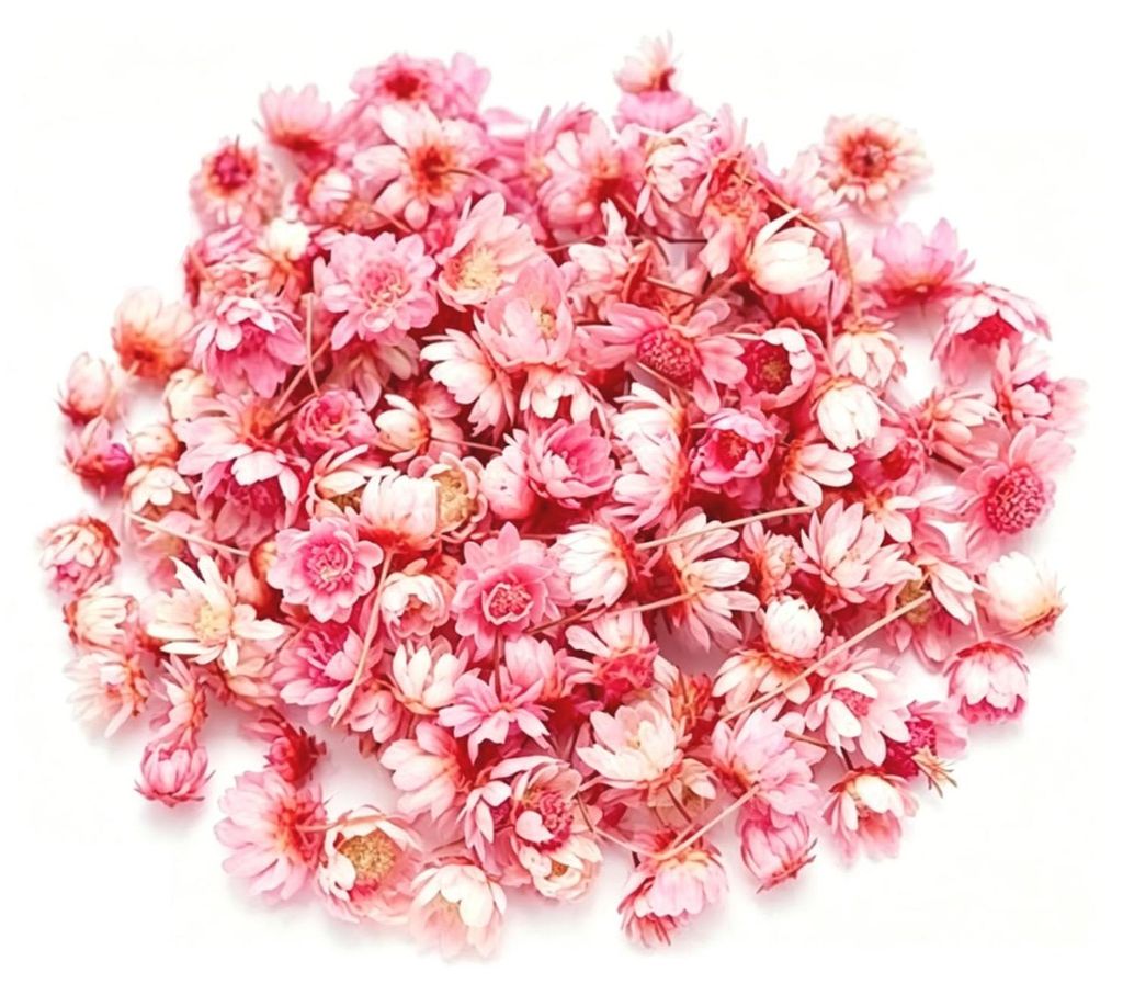 280 getrocknete Blumen, natürliche Trockenblumen, rosa, 0,5–1 cm