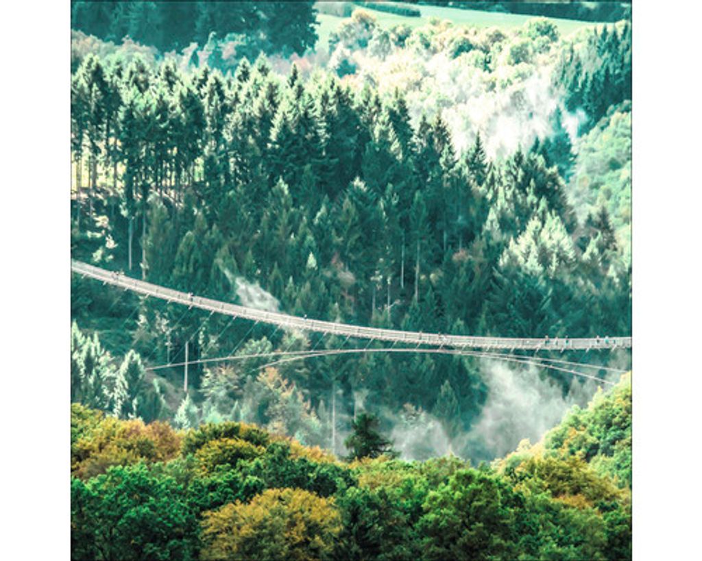 Glasbild Harz Hängeseilbrücke III 30x30 cm