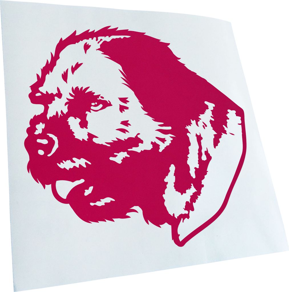 Kiwistar - Autoaufkleber - Border Terrier Hund - Pink - 60x55cm - Aufkleber für Auto, Laptop, Fahrrad, LKW, Motorrad mehrfarbig JDM Decal Racing