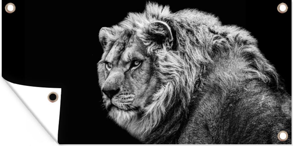 MuchoWow 60x30 cm Outdoor-Poster Gartendeko Sichtschutz Garten Poster für den Garten Löwe - Porträt - Wildtiere - Schwarz - Weiß