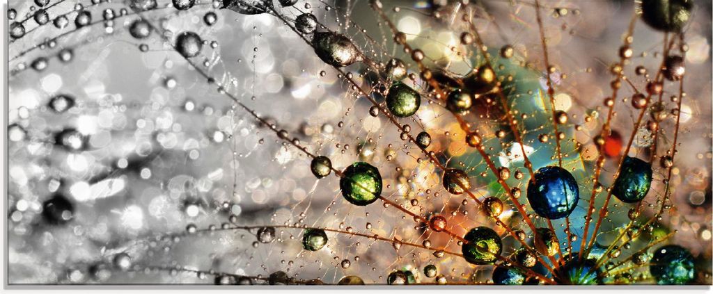 agika7: Farbenfrohe Natur - Glasbild, Größe:50x125 cm / Produktbild 