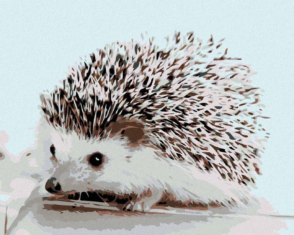 Diamondi - Diamond painting - IGEL, 40X50 cm, mit Keilrahmen (bereits gespannt)