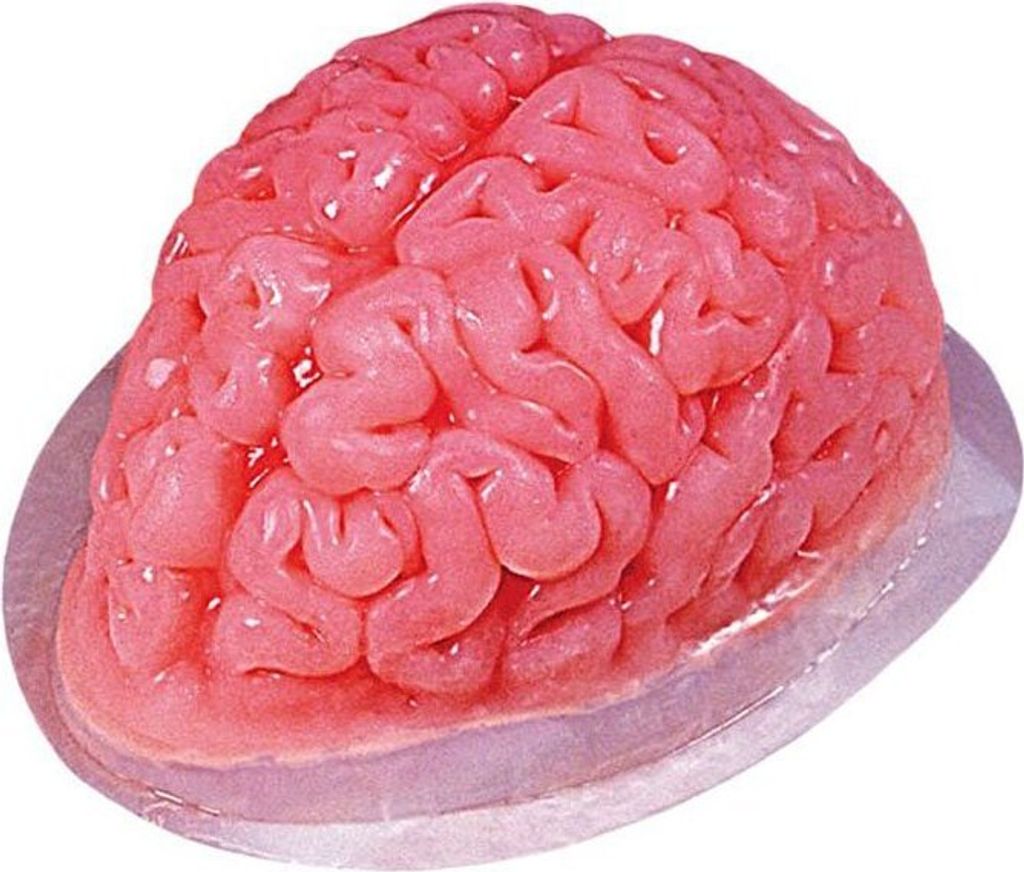 Gehirnform Für Gelatine, 22X18 Cm. Produktbild 