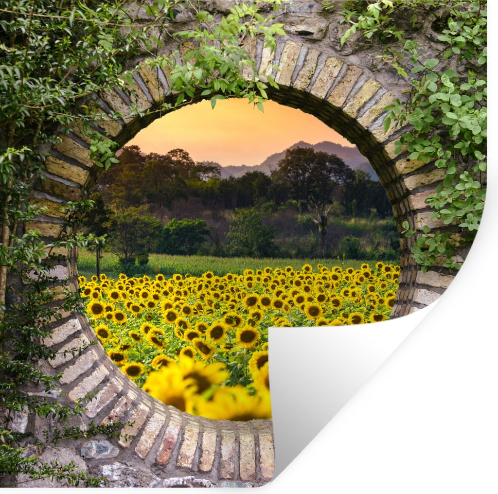 MuchoWow Wandtattoo Wandsticker Wandaufkleber Durchschauen - Blumen - Sonnenblume 50x50 cm Selbstklebend und Repositionierbar - Selbstklebend - F...