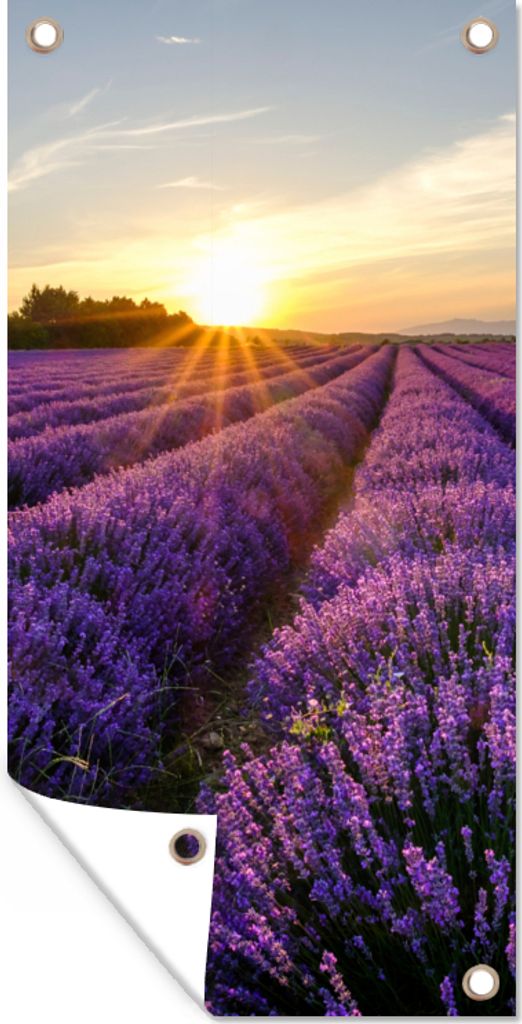 MuchoWow 30x60 cm Outdoor-Poster Gartendeko Sichtschutz Garten Poster für den Garten Lavendel - Blumen - Sonnenuntergang - Lila