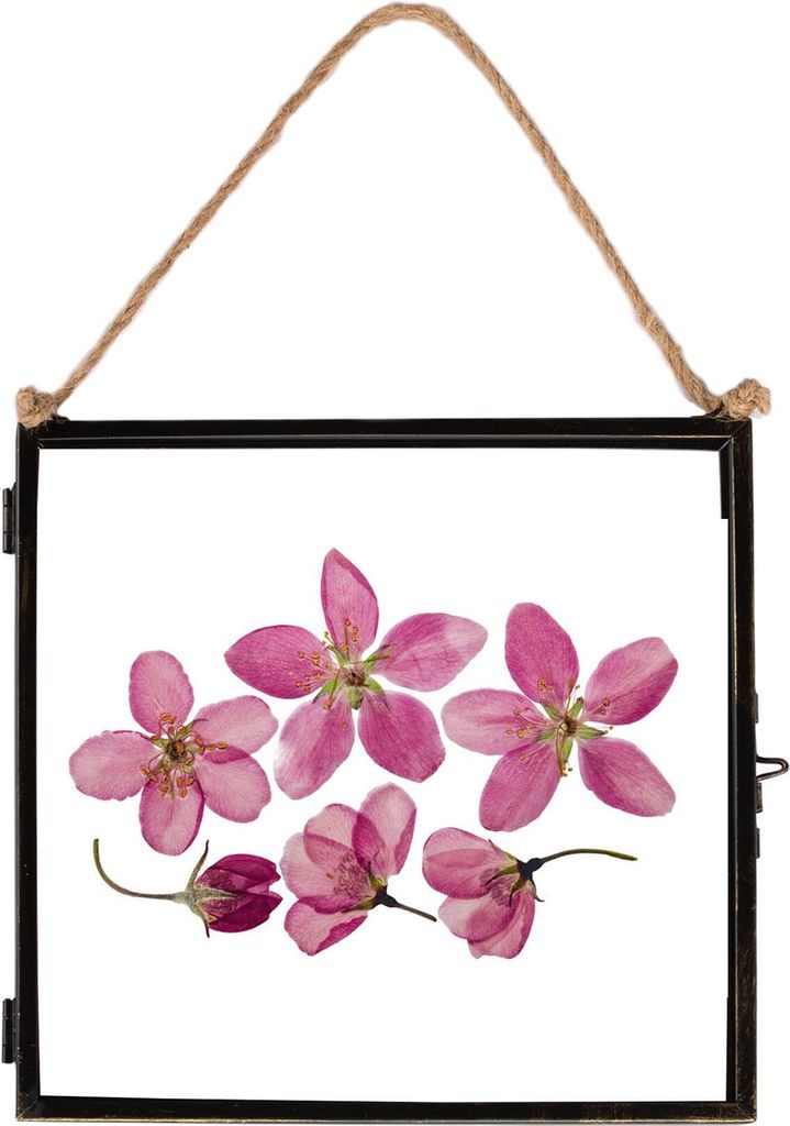 Nicola Spring Hängender Metall Fotorahmen - Vintage Metall Floating Glass Picture Wandanzeige - 8 "x 8" - Schwarz