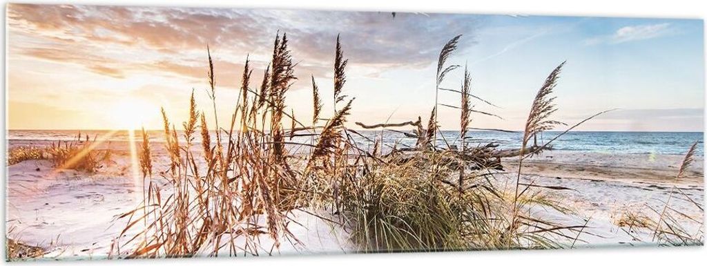 Bilder auf glas - Einteilig - Möwe Meer Küste - 160x50cm - Glasbilder - Wandbilder - Bilder - zum Aufhängen bereit - Wanddekoration aus Glas - G...