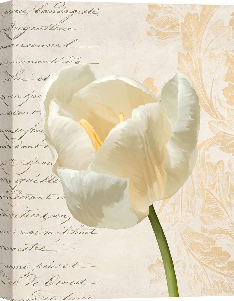 Leinwandbild, moderne Blumen - Elena Dolci, Tulpe I - Größe 70x100 cm