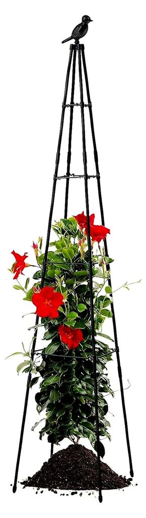 Gurkenspalier und Erbsenspalier aus Metall, höhenverstellbar mit Vogelschutz für Gartenpflanzen