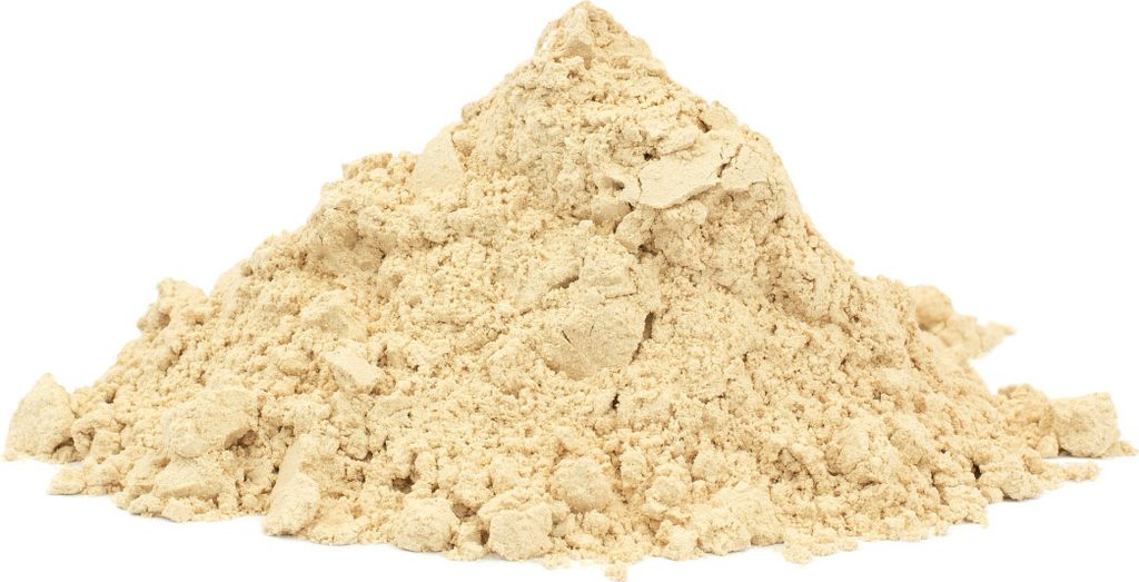 SHIITAKE Pilz – Pulver, 500g