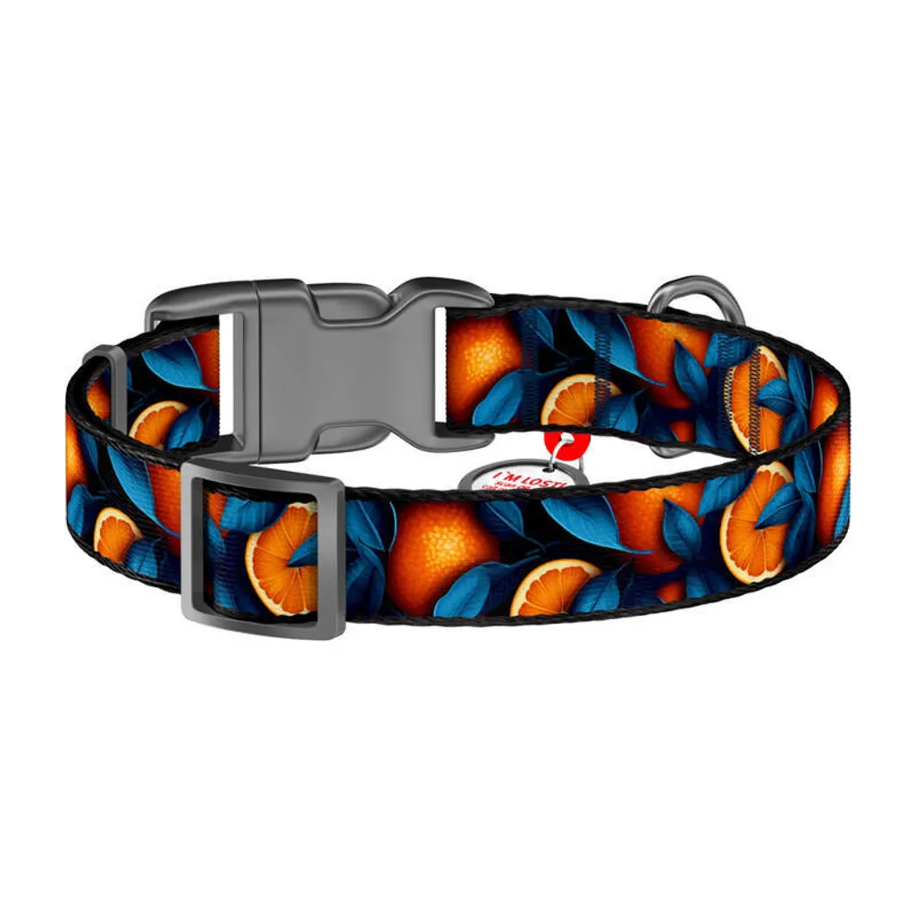 Collier pour Chien en Nylon Orange Taille L avec Médaille Connectée